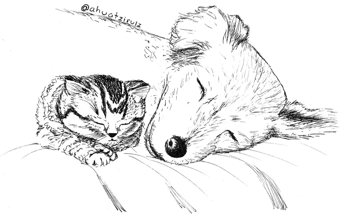 13-kind