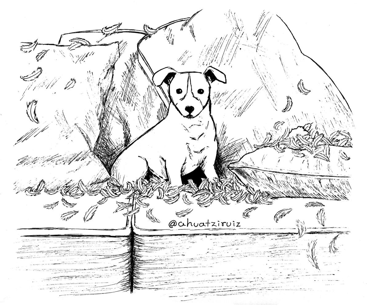 21-Bad-dog