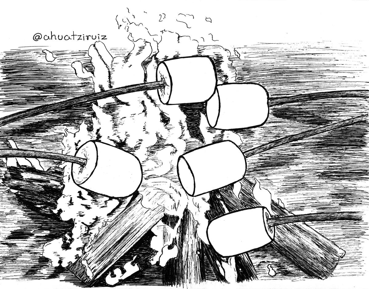 28-Camping
