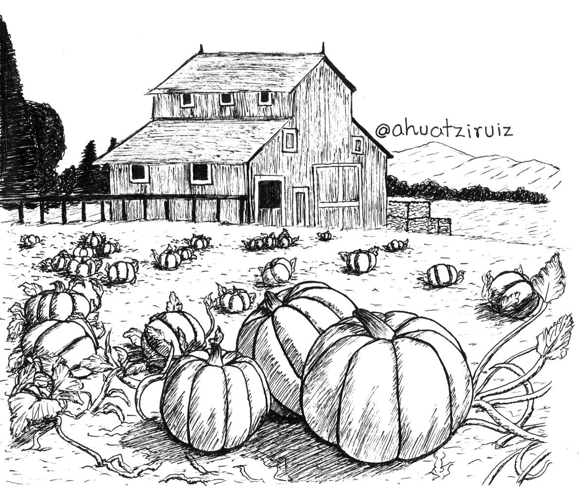 31-Farm